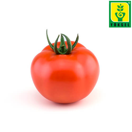 Semilla de Tomate Bysonte