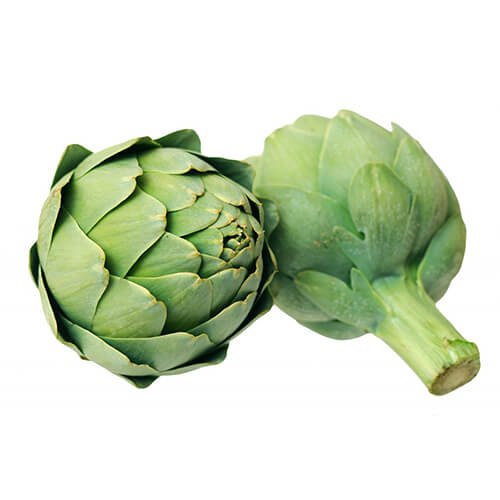 Semilla de Alcachofa