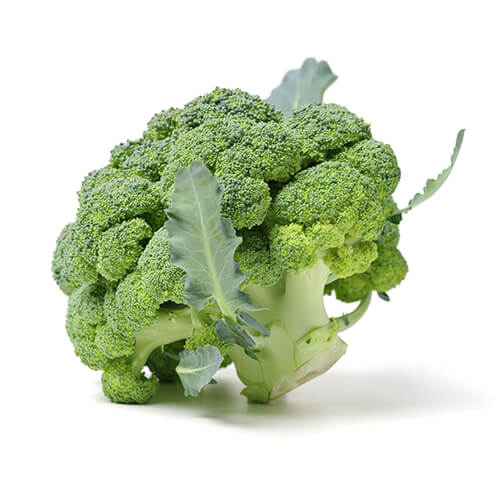 Semilla de Brócoli