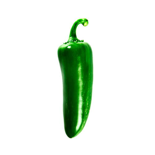 Semilla de Chile Jalapeño