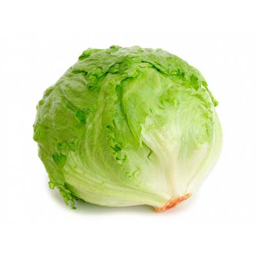 Lechuga Iceberg