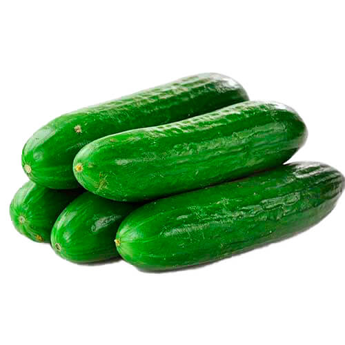 Semilla Pepino Persa