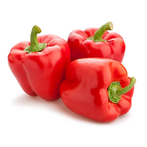 Semilla de Pimiento 