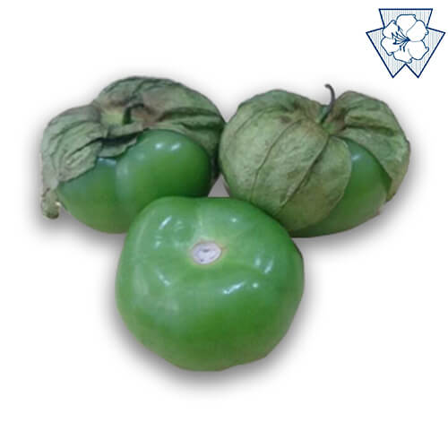 Semilla de Tomatillo Latamseeds